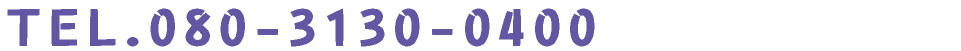 080-3130-0400